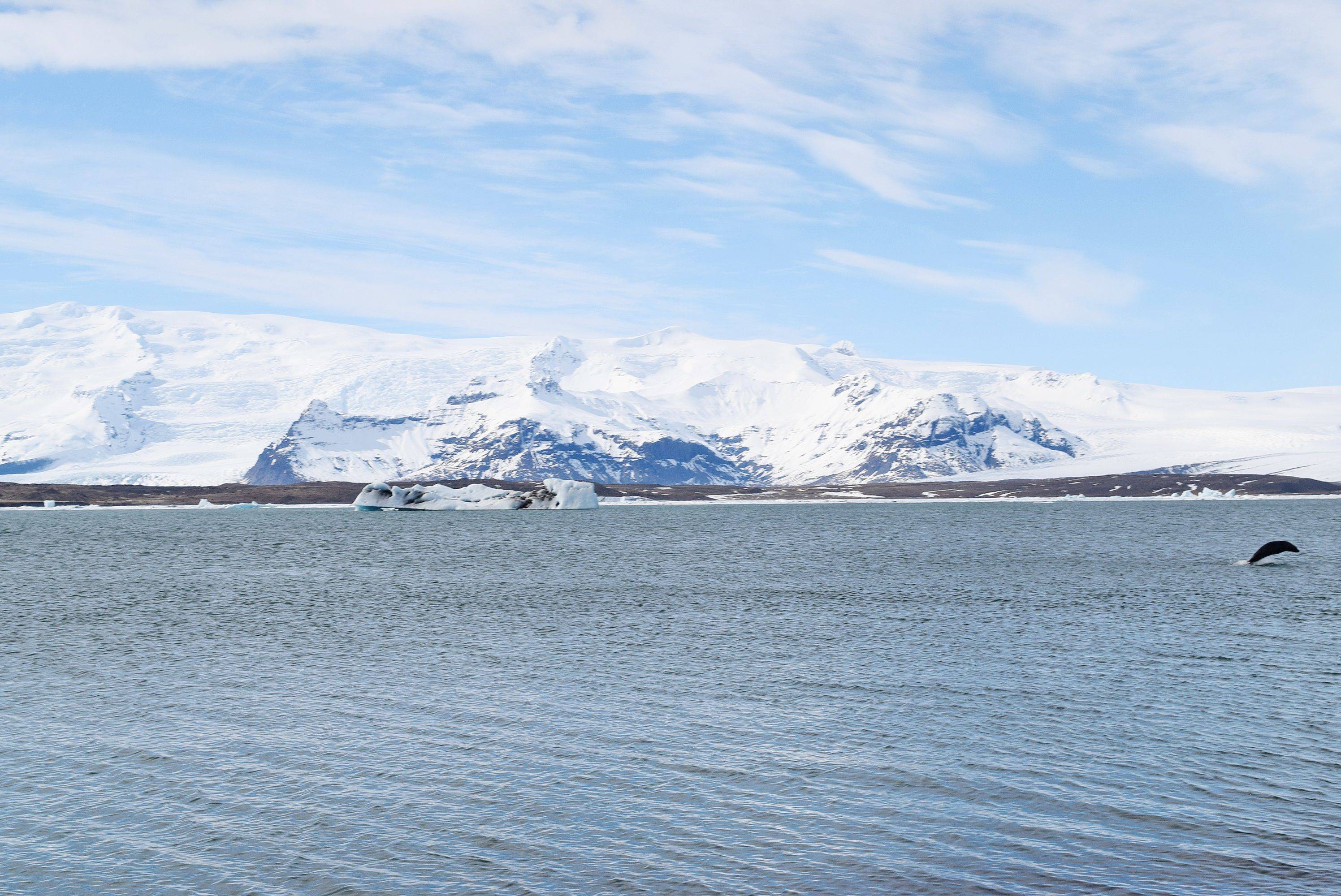 挪威逆转丹麦，萨内带队取胜