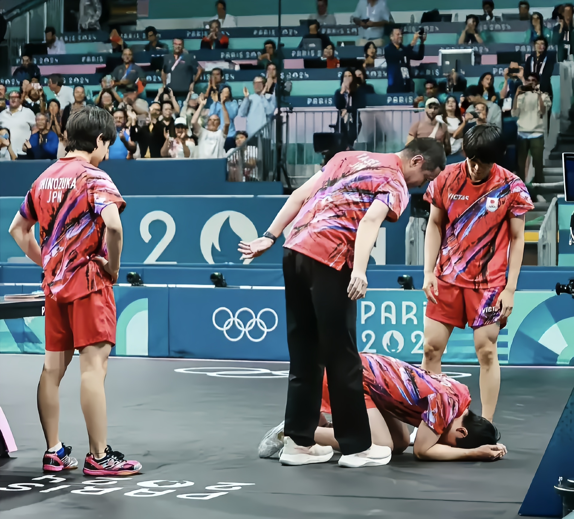 日本乒乓球队完胜奥地利乒乓球队，张本智和送出助攻