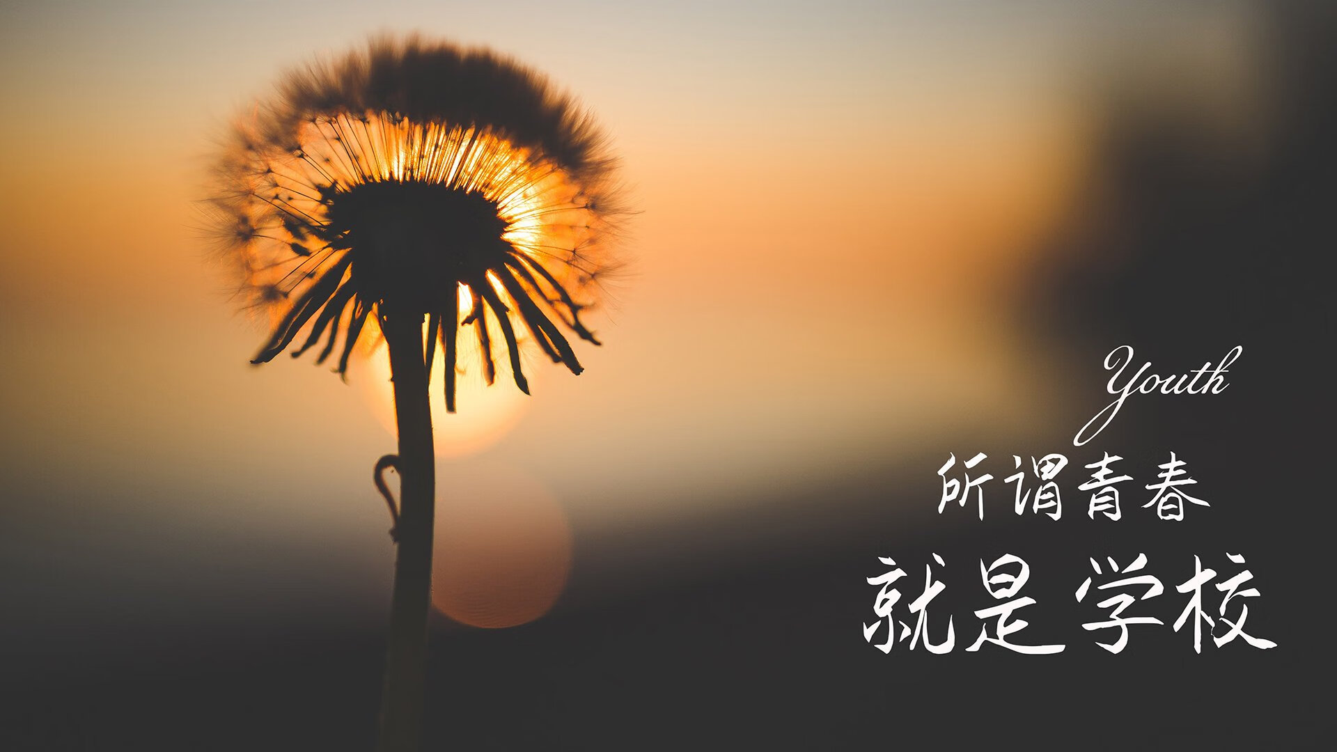 锡安关键战不手软，辽宁队一波带走新疆队
