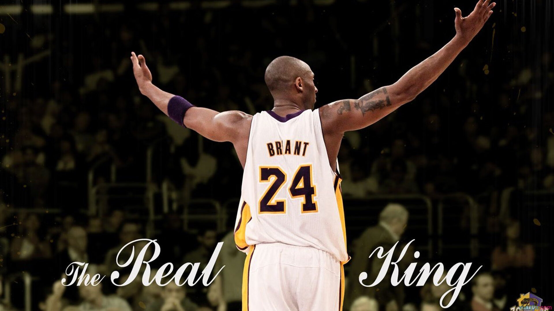 猛龙绝杀鹈鹕，约基奇对手完全无解，当团队奇迹与个人统治力同夜闪耀