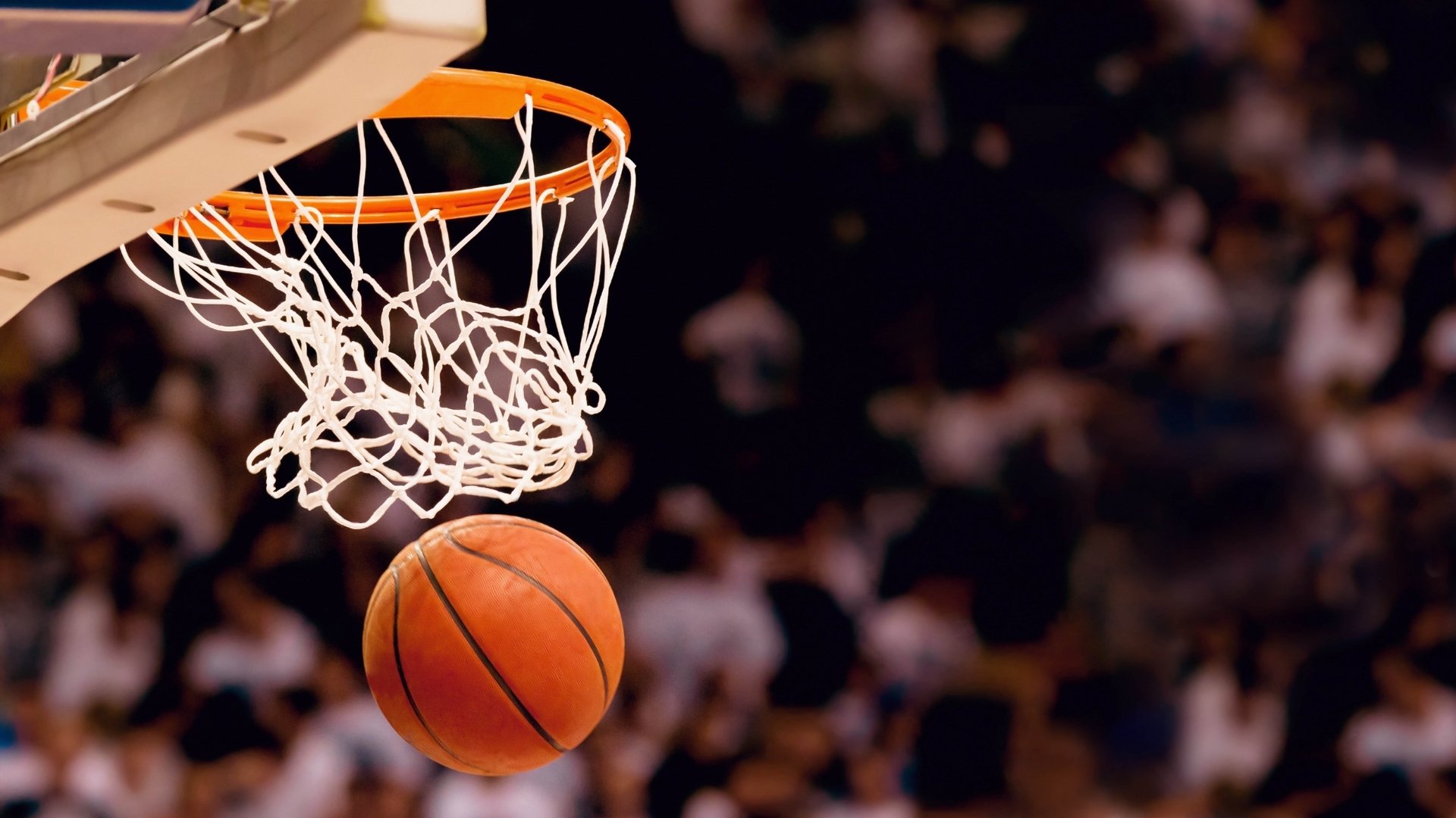 唯一性的胜利,2026世界杯A组,荷兰陷落,卢卡库主宰全场